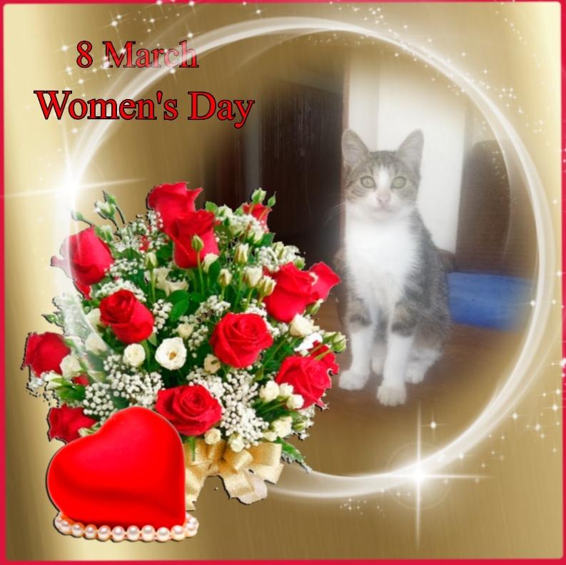 zoza1958 uploaded   46  day/s  ago