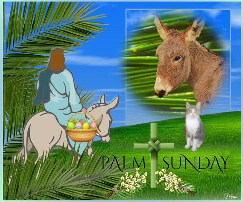 Princess Gricka of the zoza1958 family