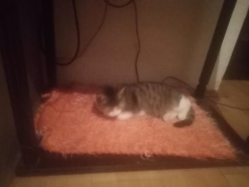 zoza1958 uploaded   161  day/s  ago