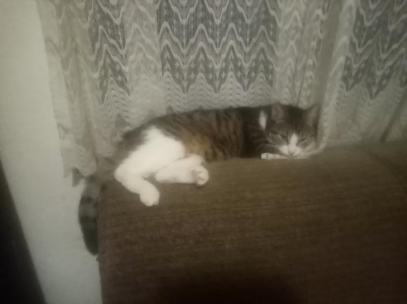 zoza1958 uploaded   100  day/s  ago