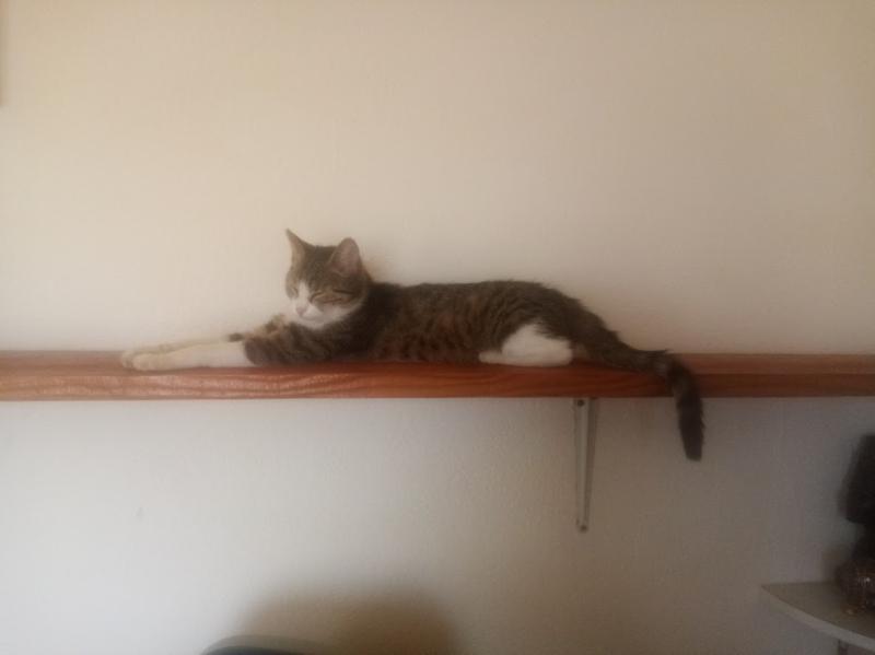 zoza1958 uploaded   43  day/s  ago