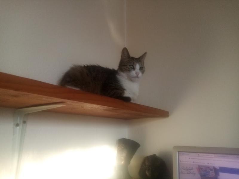 zoza1958 uploaded   37  day/s  ago