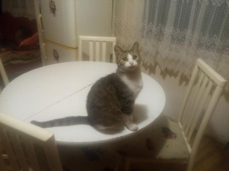 Princess Gricka of the zoza1958 family