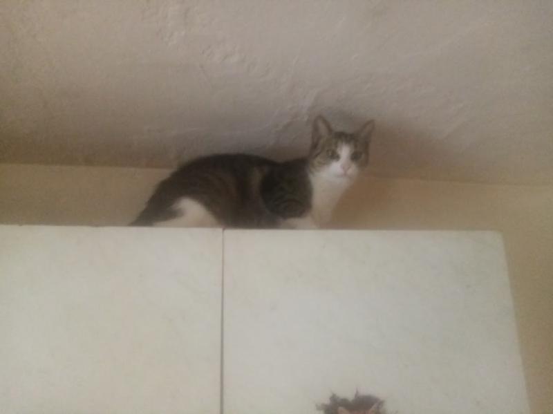 zoza1958 uploaded   3 hour/s ago