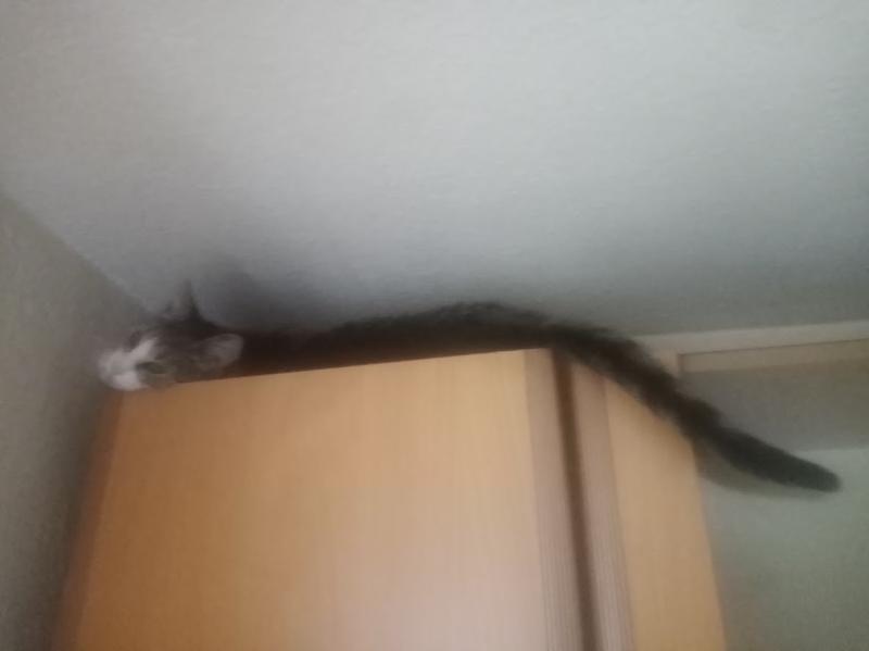 zoza1958 uploaded   3 hour/s ago