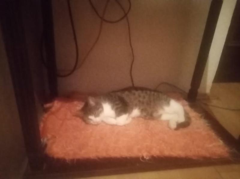 zoza1958 uploaded   161  day/s  ago