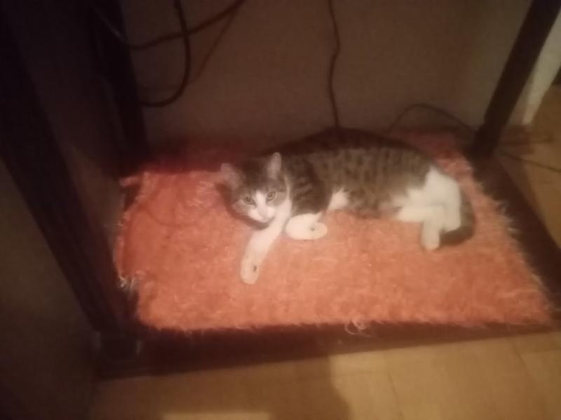 zoza1958 uploaded   161  day/s  ago