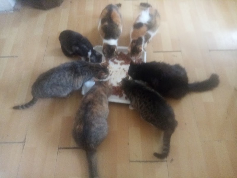 zoza1958 uploaded   5  day/s  ago