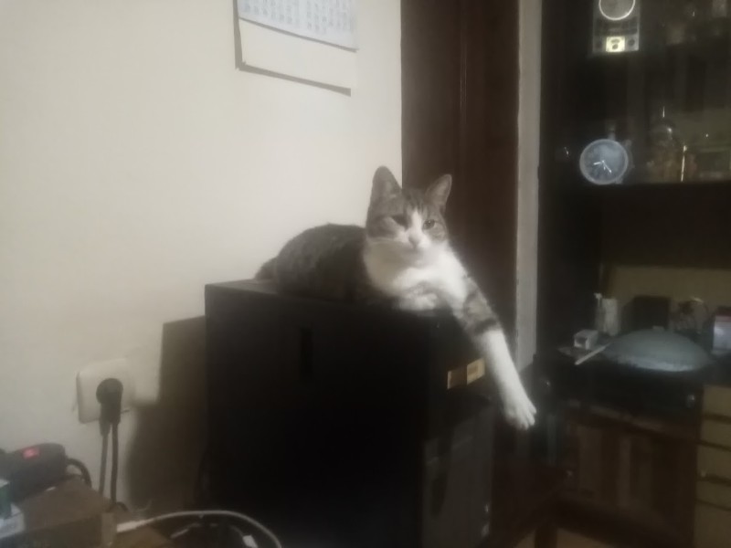 zoza1958 uploaded   121  day/s  ago