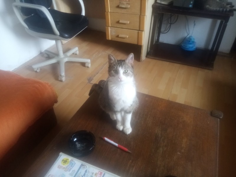 zoza1958 uploaded   5  day/s  ago