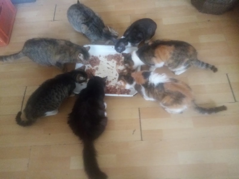 zoza1958 uploaded   5  day/s  ago