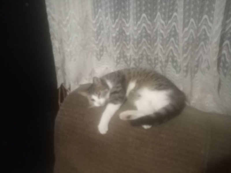 zoza1958 uploaded   121  day/s  ago