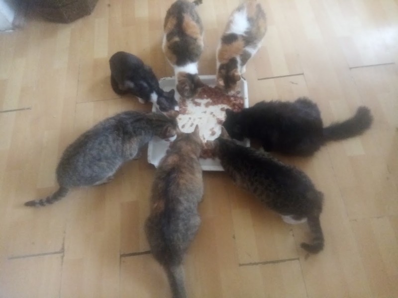 zoza1958 uploaded   5  day/s  ago