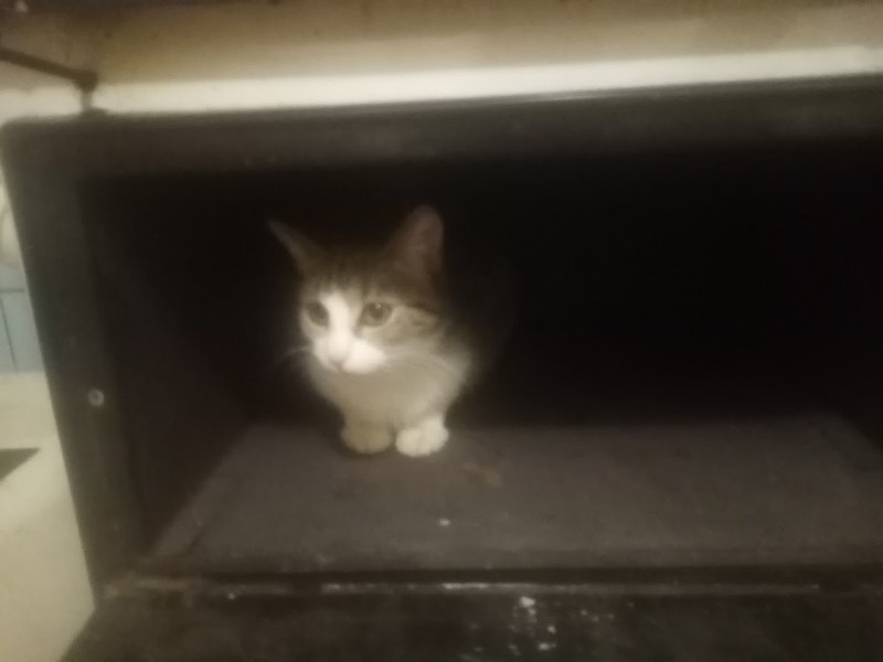 zoza1958 uploaded   5  day/s  ago