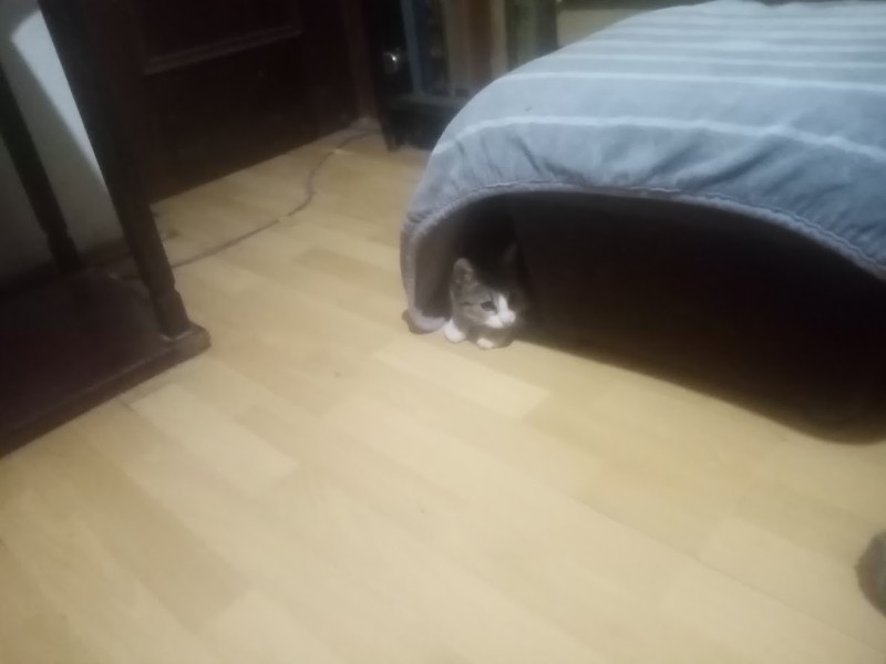 zoza1958 uploaded   129  day/s  ago