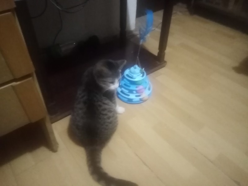 zoza1958 uploaded   5  day/s  ago