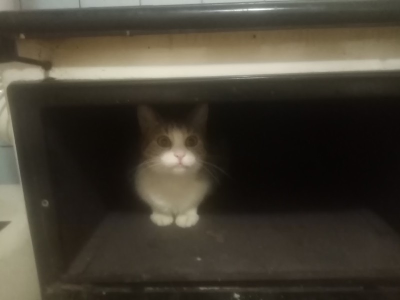 zoza1958 uploaded   5  day/s  ago