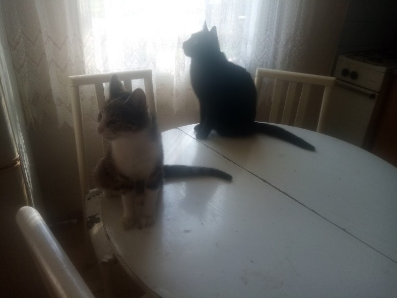 zoza1958 uploaded   17  day/s  ago