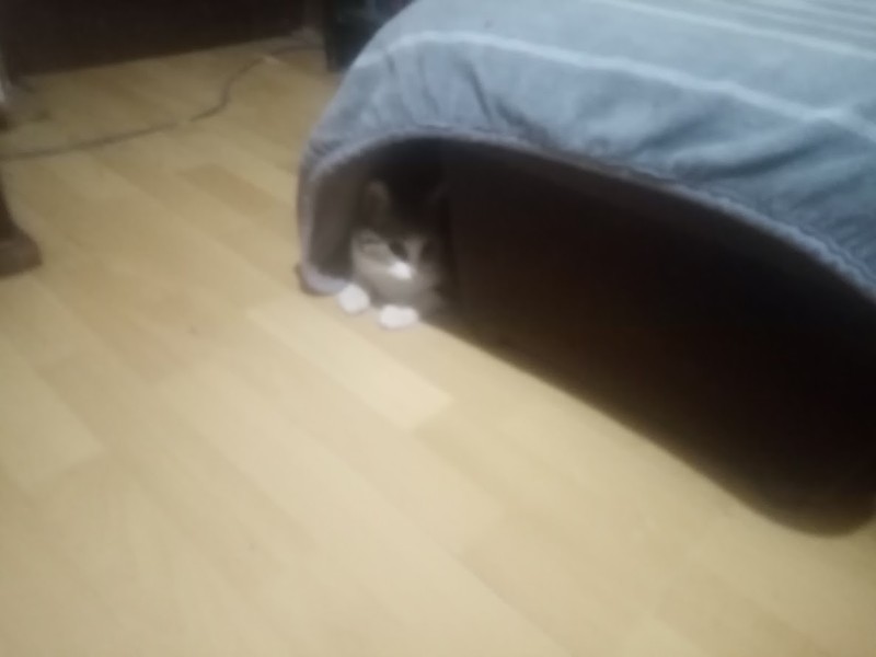 zoza1958 uploaded   129  day/s  ago