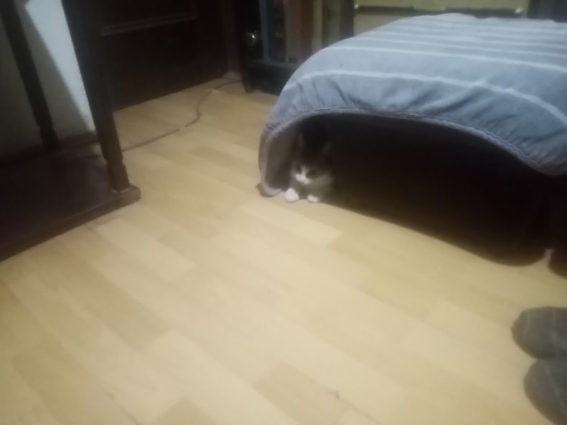 zoza1958 uploaded   129  day/s  ago