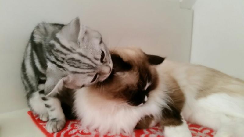 zoza1958 uploaded   78  day/s  ago