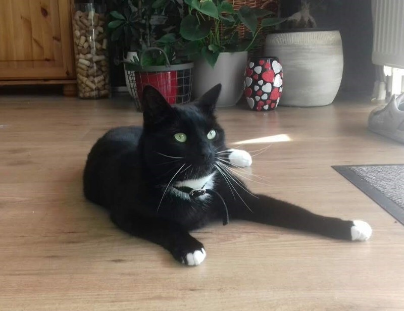 zoza1958 uploaded   17  day/s  ago