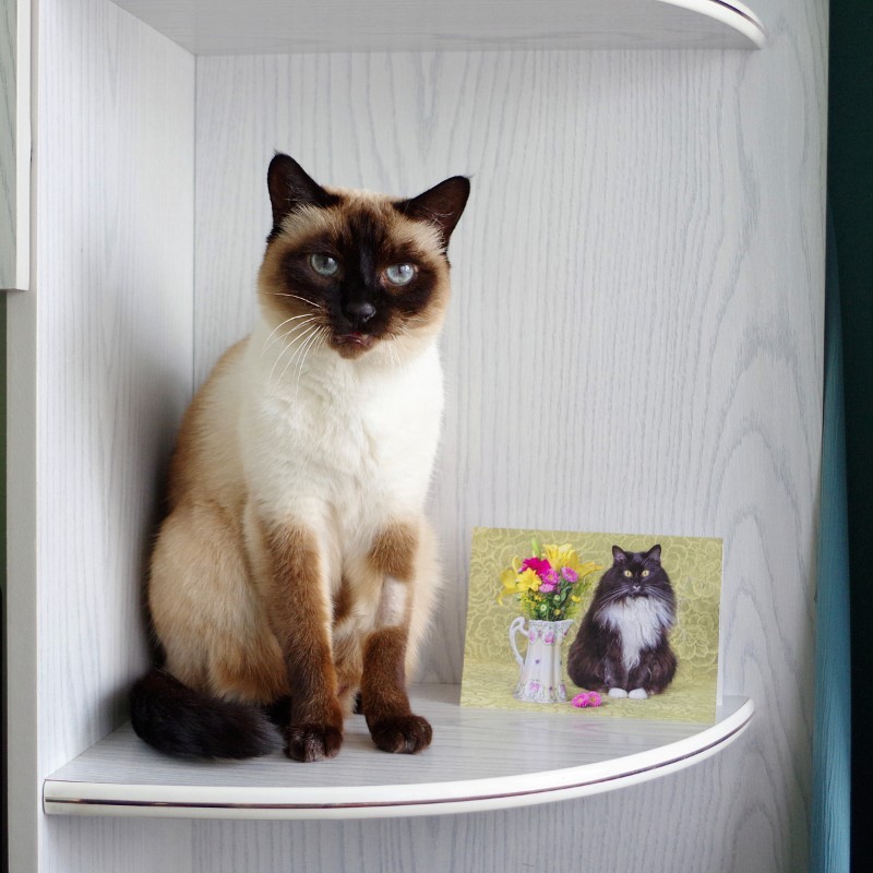 zoza1958 uploaded   17  day/s  ago