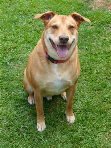 zoza1958 uploaded   17  day/s  ago