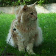 zoza1958 uploaded   17  day/s  ago