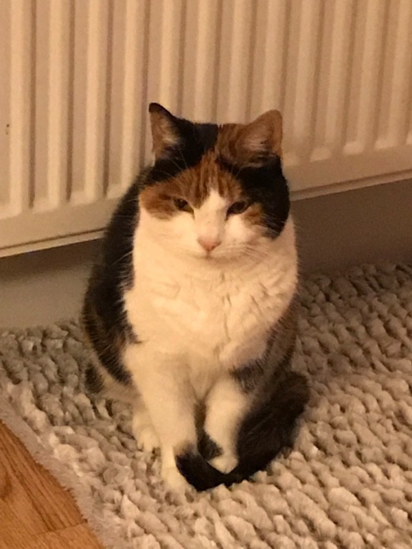 zoza1958 uploaded   17  day/s  ago