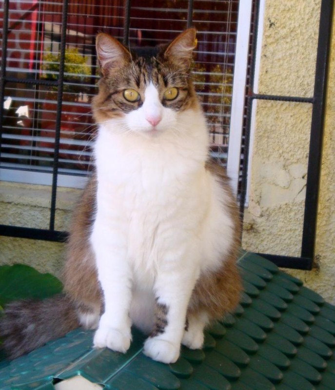 zoza1958 uploaded   17  day/s  ago