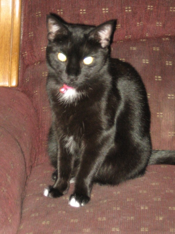 zoza1958 uploaded   17  day/s  ago