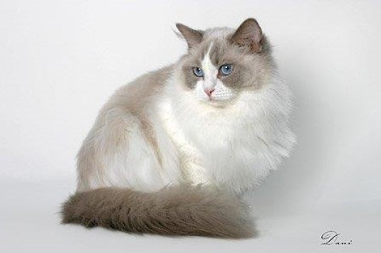 zoza1958 uploaded   17  day/s  ago