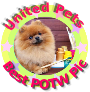 Princess Gricka of the zoza1958 family