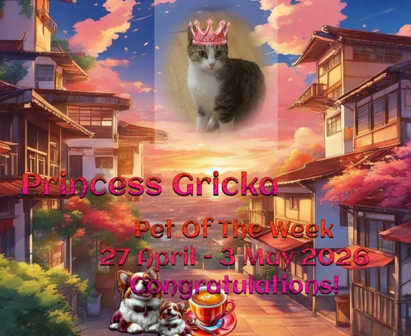 zoza1958 uploaded   69  day/s  ago
