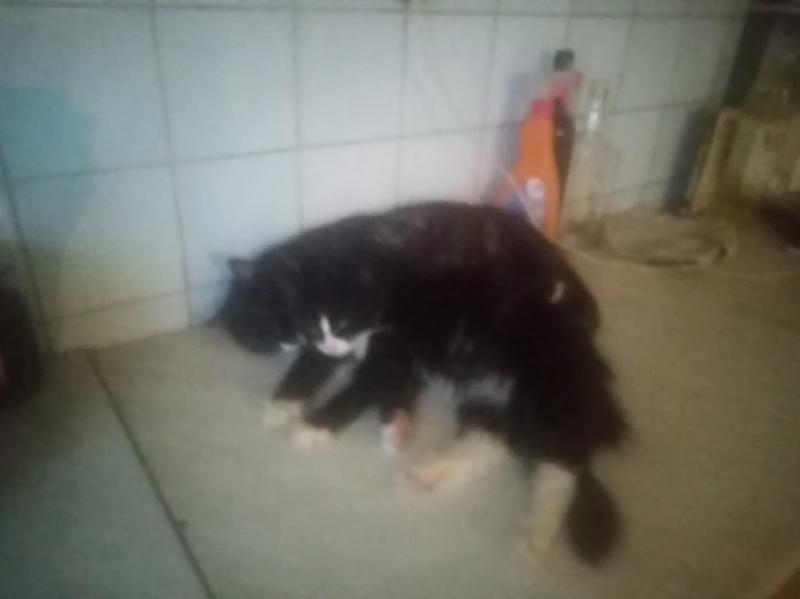 zoza1958 uploaded   150  day/s  ago