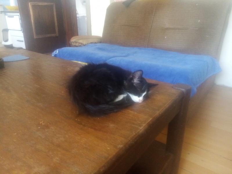 zoza1958 uploaded   280  day/s  ago