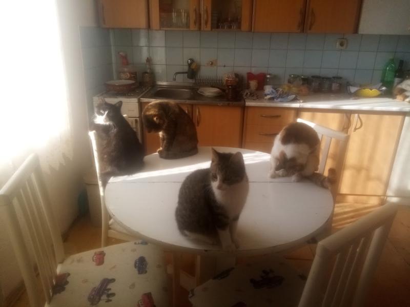 zoza1958 uploaded   100  day/s  ago