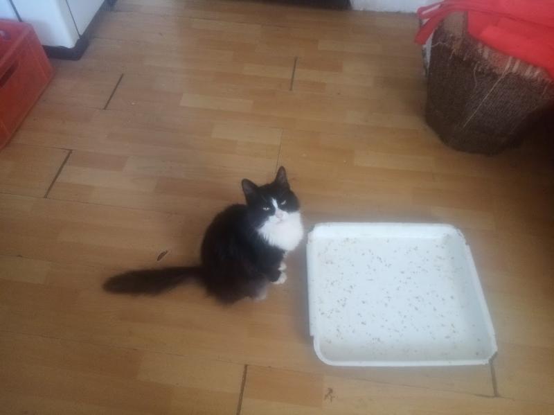 zoza1958 uploaded   27  day/s  ago