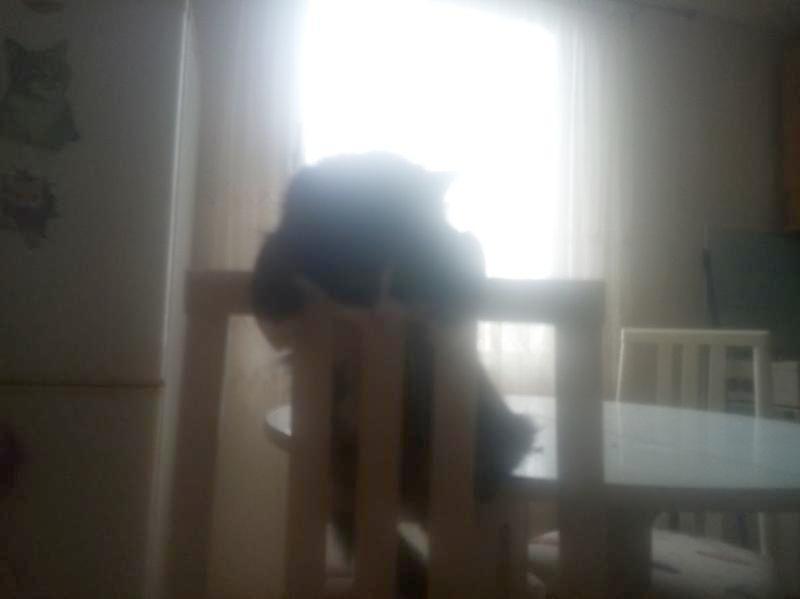 zoza1958 uploaded   12  day/s  ago