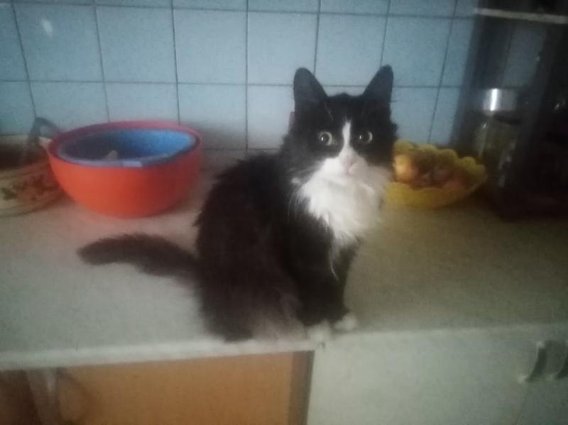 zoza1958 uploaded   3 hour/s ago