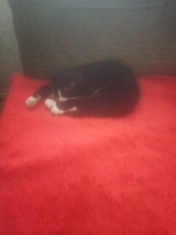 zoza1958 uploaded   280  day/s  ago