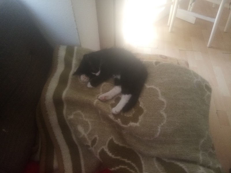 zoza1958 uploaded   280  day/s  ago