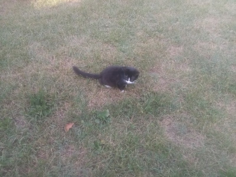 zoza1958 uploaded   242  day/s  ago