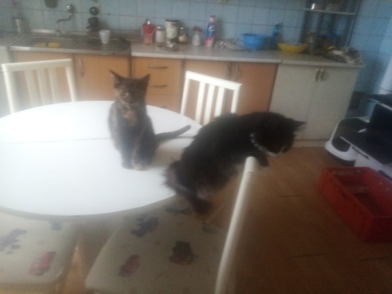 zoza1958 uploaded   12  day/s  ago