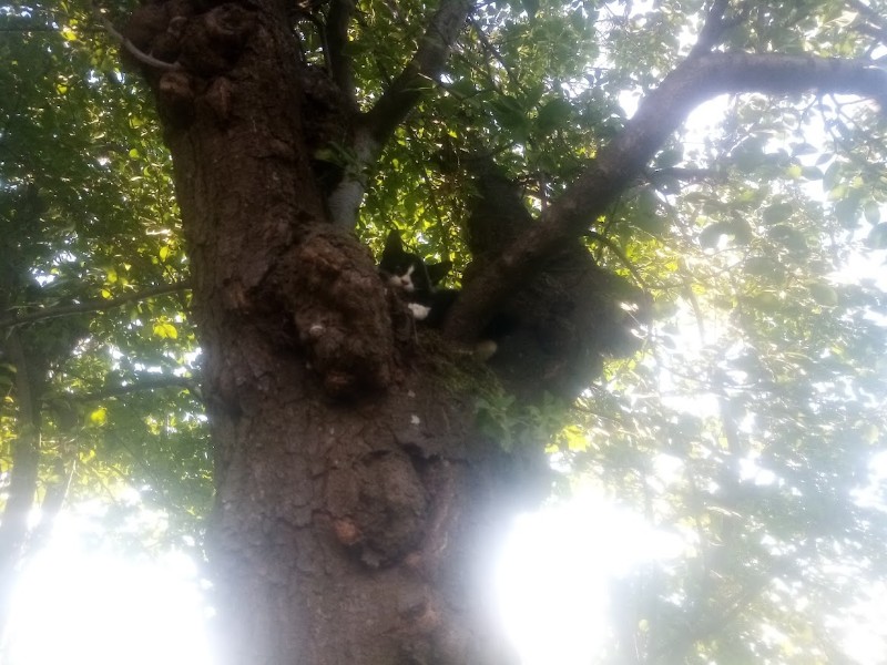 zoza1958 uploaded   242  day/s  ago