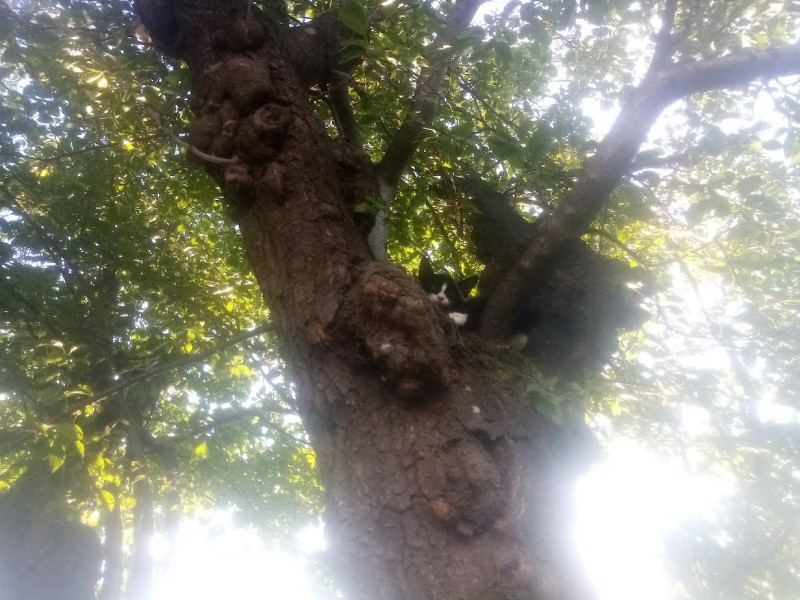 zoza1958 uploaded   242  day/s  ago