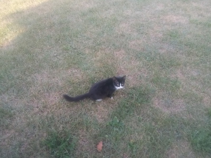 zoza1958 uploaded   242  day/s  ago