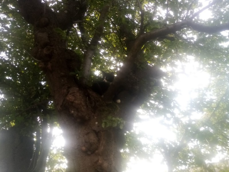 zoza1958 uploaded   242  day/s  ago