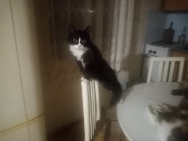 zoza1958 uploaded   136  day/s  ago